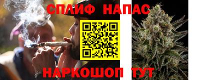 герыч Гатчина