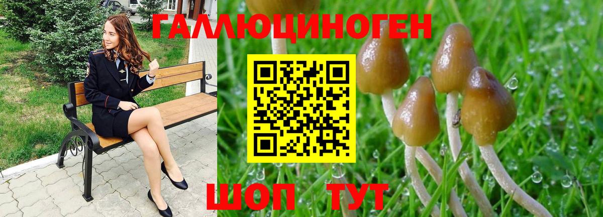 Галлюциногенные грибы Psilocybine cubensis Нарткала